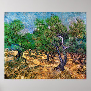 Van Gogh - Olive Grove Poster
