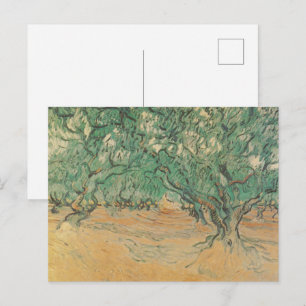 Van Gogh Olive Grove - Sage Green Nature Art Postcard