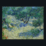 Van Gogh - Olive Orchard Poster<br><div class="desc">Olive Orchard by Vincent Van Gogh. For more poster-ready images from Zedign Art Series Book 38 "Vincent Van Gogh - Paintings & Drawings Vol 3",  visit https://books.zedign.com/zas/38.html</div>