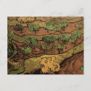 Van Gogh Olive Trees Against a Slope of a Hill Postcard