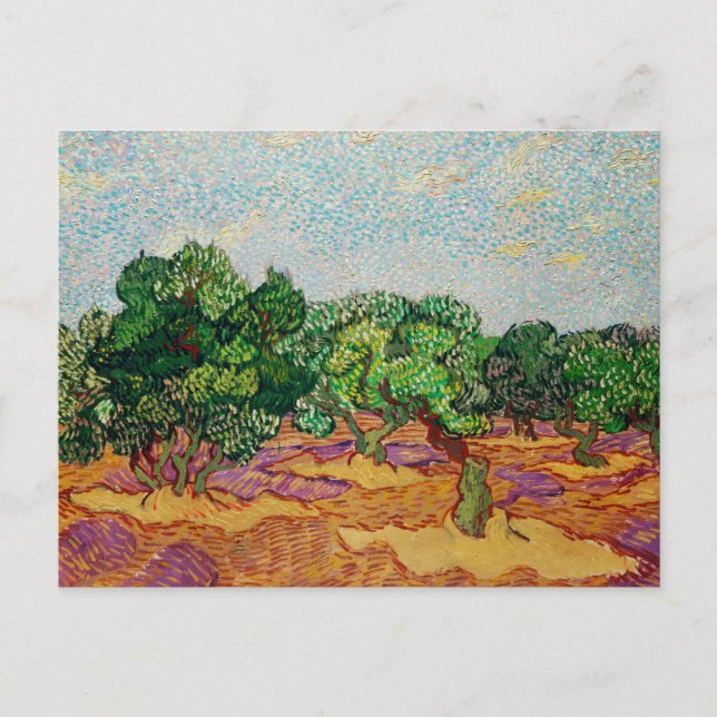 Van Gogh - Olive Trees, famous painting, Postcard (Front)