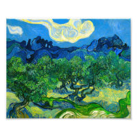 Van Gogh Olive Trees in a Mountainous Landscape