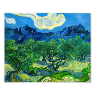Van Gogh Olive Trees in a Mountainous Landscape Photo Print