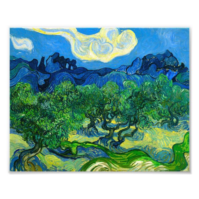 Van Gogh Olive Trees in a Mountainous Landscape Photo Print (Front)