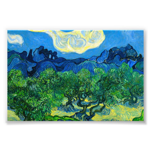 Van Gogh Olive Trees in a Mountainous Landscape Photo Print (Front)