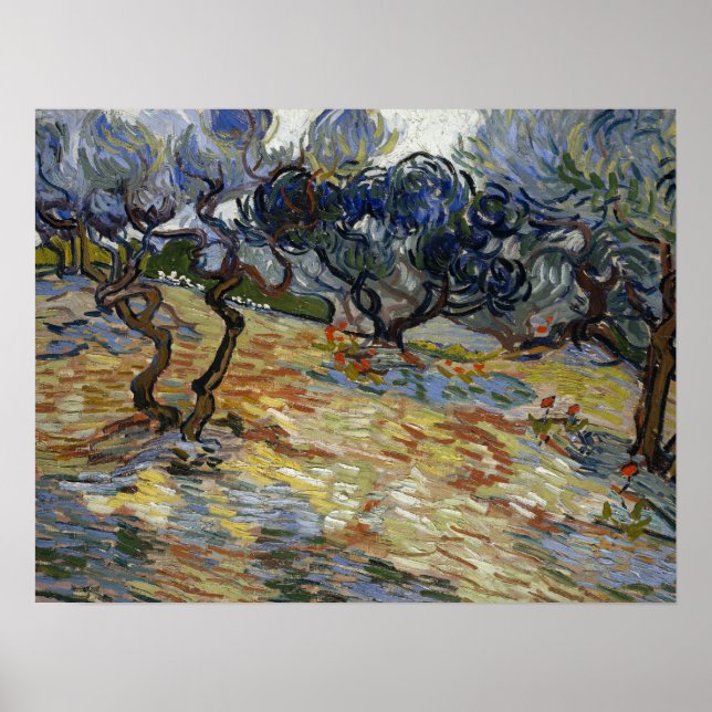 Van Gogh - Olive Trees Poster (Front)