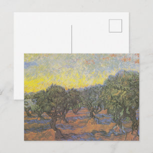 Van Gogh Olive Trees Yellow Sky Art Postcard