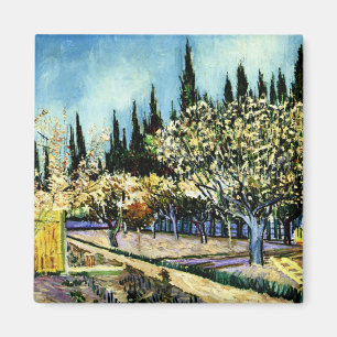 Van Gogh - Orchard Surrounded by Cypresses Magnet