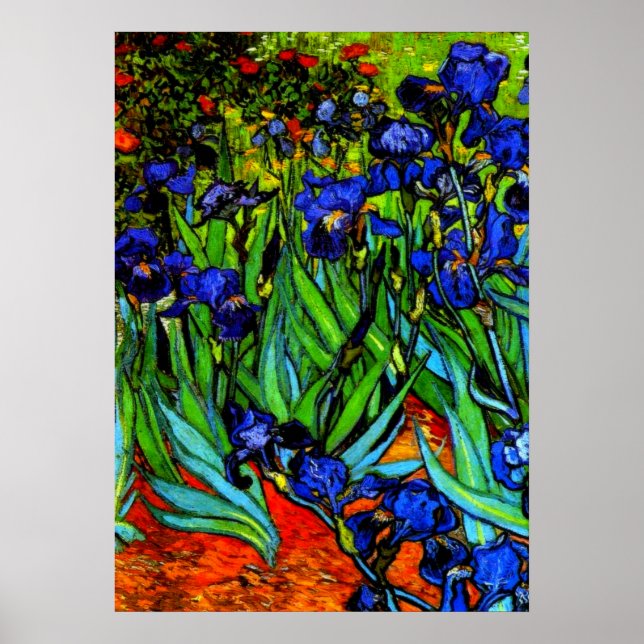 Van Gogh painting, Irises, Poster (Front)