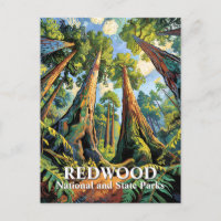 Van Gogh Redwoods Park California Poster Style