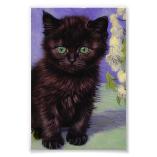 Van Gogh Style Cat with White Flowers Photo Print