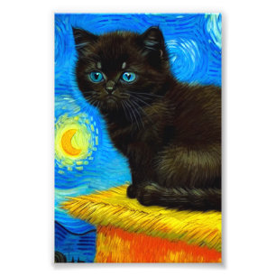 Van Gogh Style Starry Night Cat Photo Print