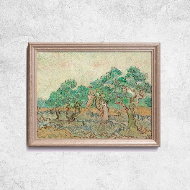 Van Gogh The Olive Orchard Trees Old Art Poster (Van Gogh The Olive Orchard Trees Old Art Poster
)