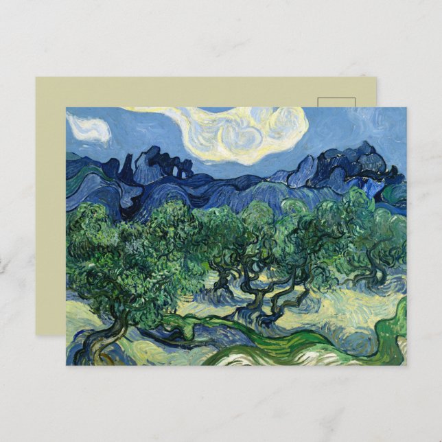 Van Gogh The Olive Trees Landscape Painting Postcard (Front/Back)