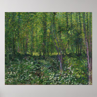 Van Gogh - Trees And Undergrowth