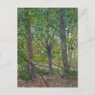 Van Gogh Trees and Underwood(F307) Fine Art Postcard