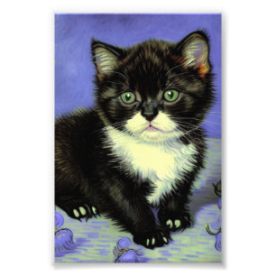 Van Gogh Tuxedo Kitten Photo Print