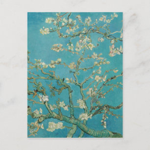 Van gogh's Almond Blossom Postcard