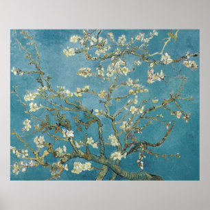 Van Gogh's Almond Blossom Poster