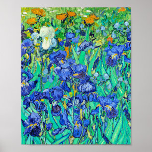 Van Gogh's Irises Poster