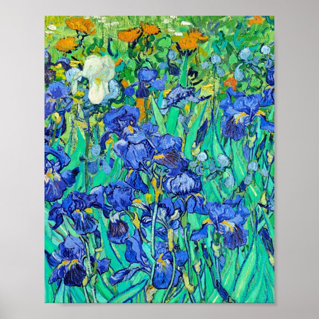 Van Gogh's Irises  Poster (Front)