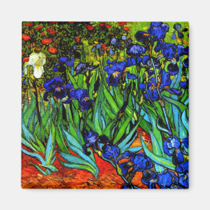 Van Gogh's painting, Irises Magnet