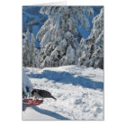 Vancouver, BC, Canada Card