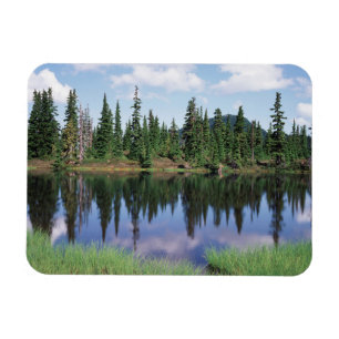 Vancouver Island, Strathcona Provincial Park 2 Magnet