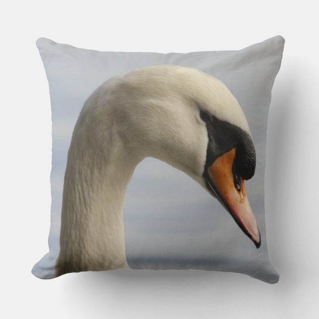 Vancouver, Stanley Park, Mute Swan (Cygnus olor) 2 Cushion (Front)