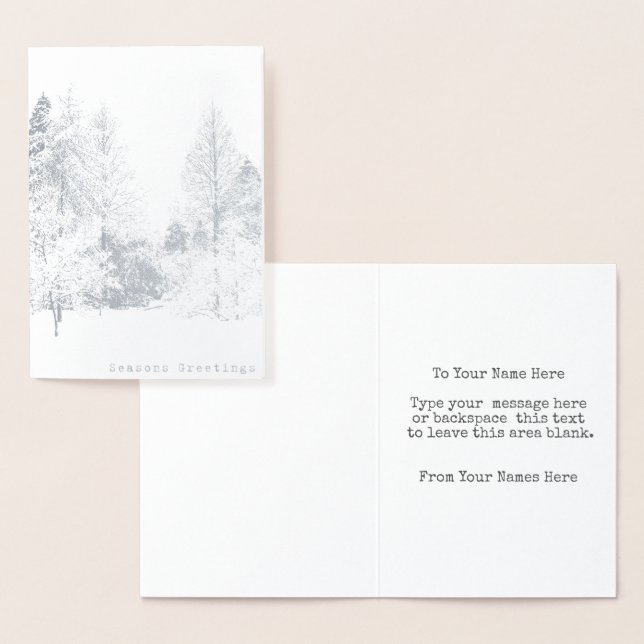 Vancouver Winter Greeting Cards Custom Silver (Display)