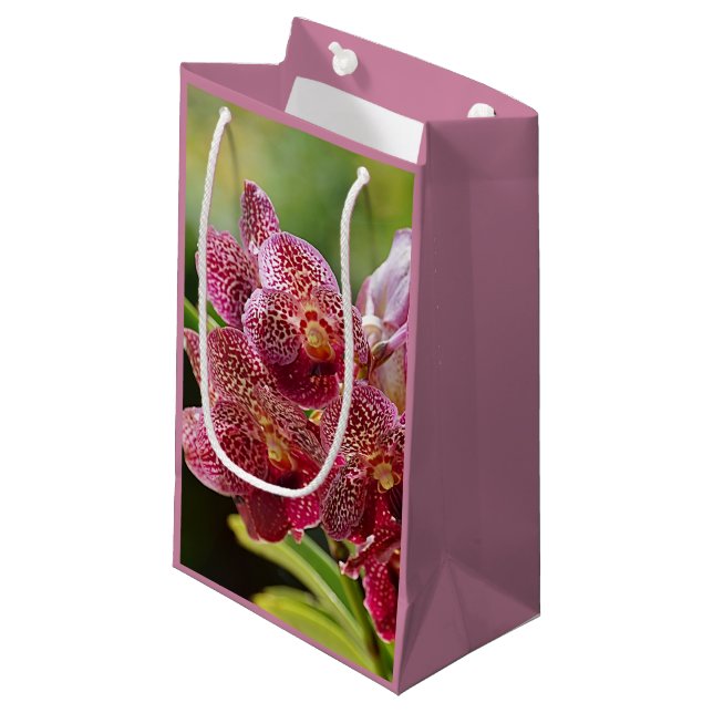 Vanda Orchid Cluster Birthday Gift Bag (Front Angled)