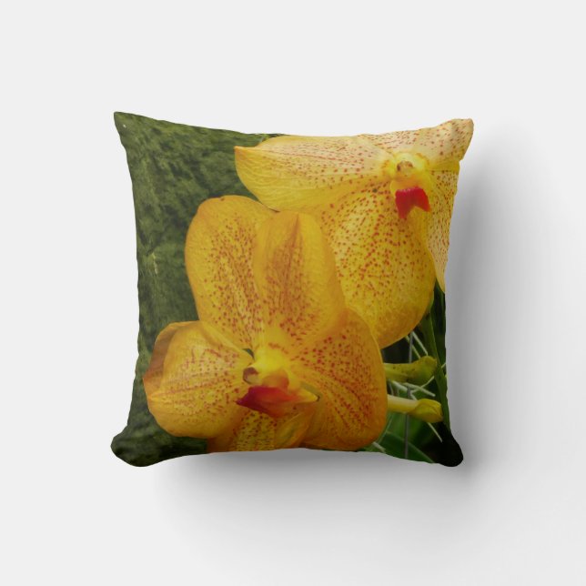 Vanda Orchid Orange Flowers Cushion (Front)