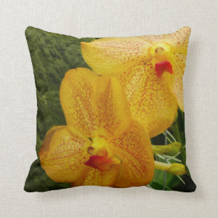 Vanda Orchid Orange Flowers Cushion