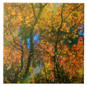 VanDusen Botanical Garden Vancouver, Canada Ceramic Tile