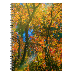 VanDusen Botanical Garden Vancouver, Canada Notebook