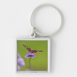 vanessa cardui - Europe, Germany, Bavaria, Key Ring