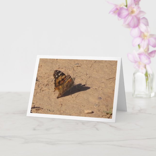 Vanessa cardui - Painted Lady Butterfly Card (Orchid)