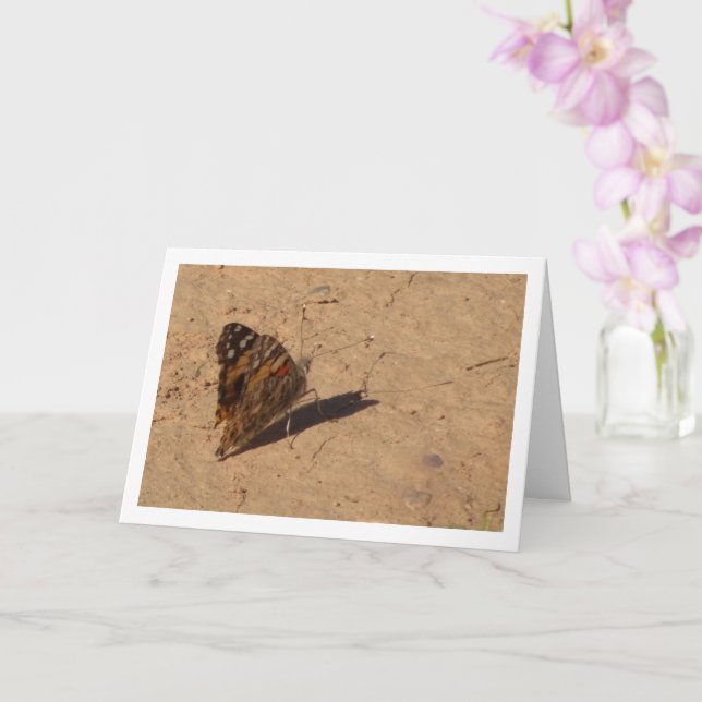 Vanessa cardui - Painted Lady Butterfly Card (Orchid)