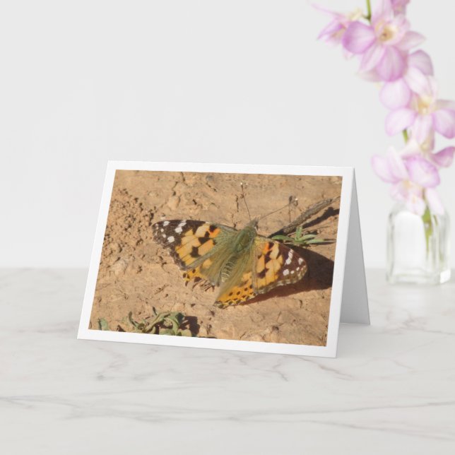 Vanessa cardui - Painted Lady Butterfly Card (Orchid)