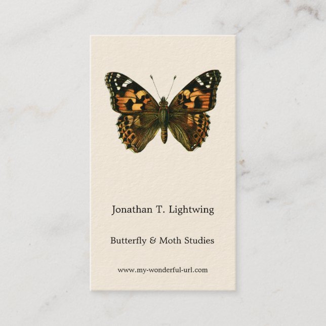 Vanessa cardui - The Painted Lady Butterfly Busine Business Card (Front)