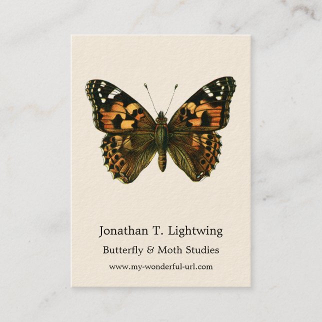 Vanessa cardui - The Painted Lady Butterfly Busine Business Card (Front)