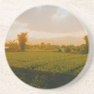 Vang Vieng - Laos Coaster