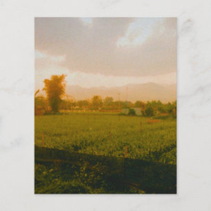 Vang Vieng - Laos  Flyer