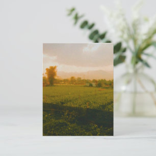 Vang Vieng - Laos Holiday Postcard