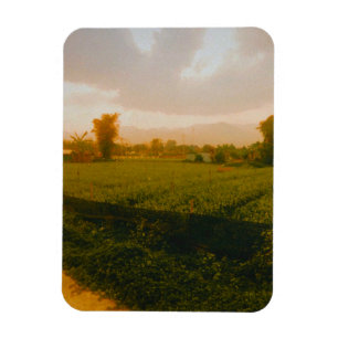 Vang Vieng - Laos Magnet