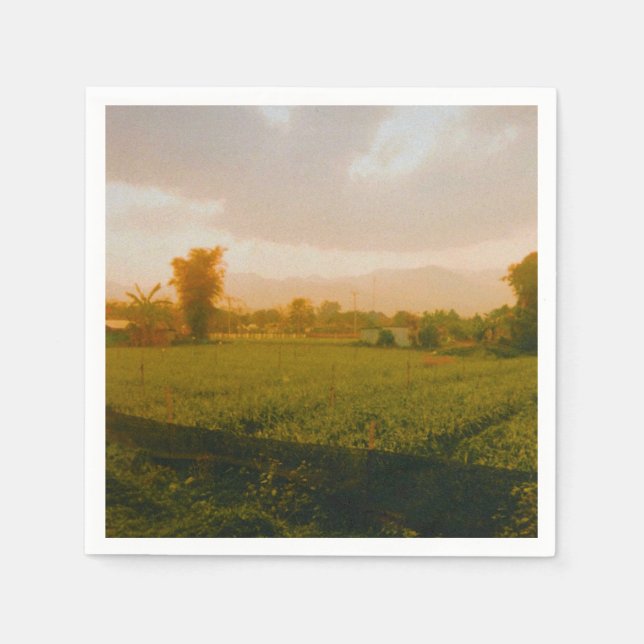 Vang Vieng - Laos  Napkin (Front)