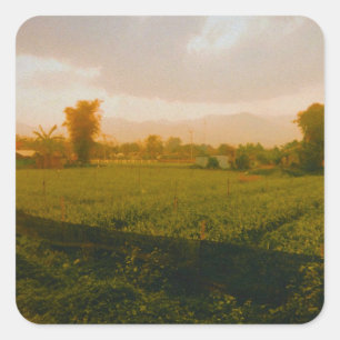 Vang Vieng - Laos  Square Sticker