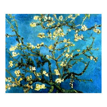 VanGogh Almond Tree BlosSometimes Poster