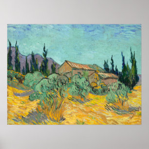 vanGogh Huts surrounded by olive trees & cypresses Poster