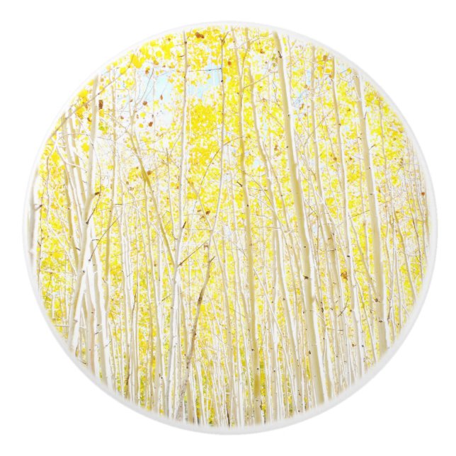 Vanilla Cake Aspen trees Ceramic Knob (Front)